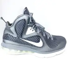 Lebron Sneakers