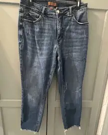 Judy Blue blue jeans