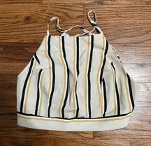 Charlotte Russe Backless Crop Top