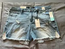Judy Blue Jean Shorts