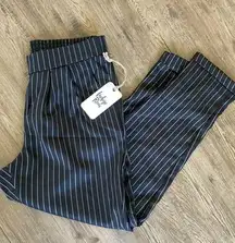 Pin Striped Pleated Fancy Tapered Trouser