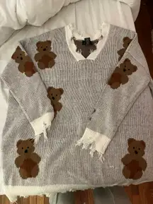 Teddy bear sweater dress