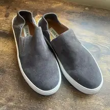 Steve Madden Fayna Gray Suede Slip On Shoes size 7