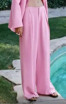 Zara Pink Wide leg Pants(Size Medium)