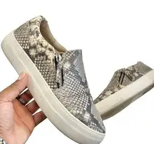 Steve Madden Women's Glaammar Slip On Platform Sneaker In Snake - Gray, 7US