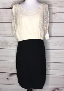 French Connection Planet Lace Dress Black & Cream