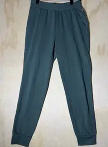 Eddie Bauer Women’s Jogger Pants Green Pull-On Lounge Travel Comfort Size XS NWT