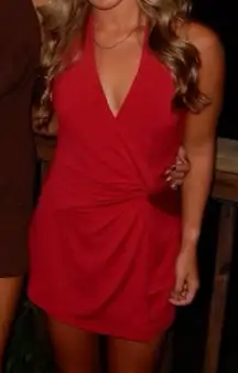 Tiger mist mini dress