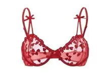 Embroidered Mesh Underwire Lingerie Set (M)