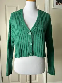 American Eagle Cardigan Sweater