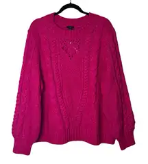 Talbots Hot Pink Barbie Core Cable Knit Sweater NWT 2X Wool Blend JO5161