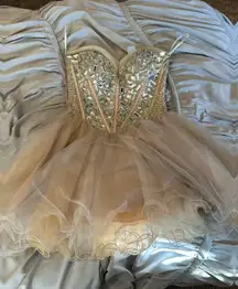 Tan And Silver Short Homecoming Dress