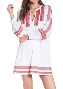 Hinge Embroidered Lace Mini Dress