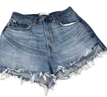 The Mom High Rise Curve Love Denim Shorfs Size 29 (8)