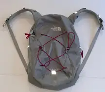 The North Face Jester Backpack Gray and Pink