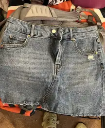 Wild Fable Denim Skirt