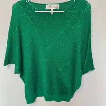 Colleen Lopo Green Sequin Sweater