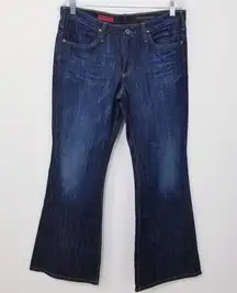 AG Adriano Goldschmied Jeans Rhinestones The New Legend Flare Leg Blue Denim