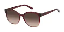 New Tommy Hilfiger Sunglasses TH 1811/S 0C9A HA Red/Brown Gradient