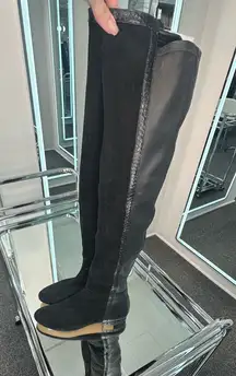 Alexandre Birman Boots