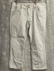 American Eagle White Womens Artist Stretch Crop Ankle Jeans Pants Size 10 EUC