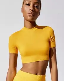 Twenty Montreal Mustard Yellow Ribbed Crop Top – NWT – Size M