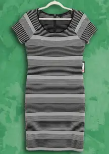 Size 14 Worthington Black and White Knee Length Dress