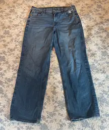 American Eagle x Maddie/Kenzie High-Rise Relaxed Straight Leg Jean Size 10