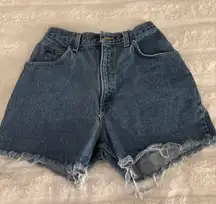 Zenna Women's High-waisted, distressed denim shorts in blue and navy