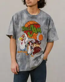 Space Jam Looney Tunes Tie-Dye Graphic Tee – Gray – Size L