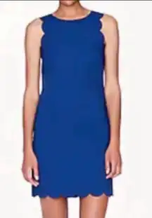 J. Crew Cobalt Blue Scalloped Sleeveless Shift Dress - Size 8