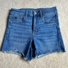 Outfitters High Rise Shorties