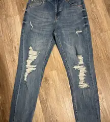 Wild Fable Distressed Denim Skinny Jeans