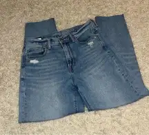 American Eagle Distressed Mom Jeans size 2 regular