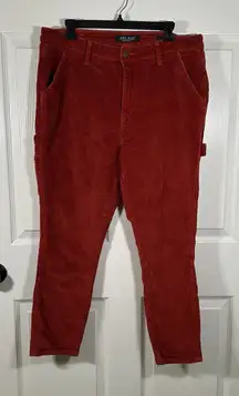 Judy Blue Women's 31‎ Corduroy Cargo Style Pants Rust Orange