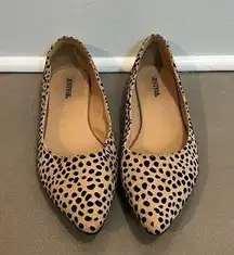 Cheetah Flats