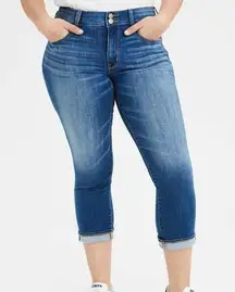 AE Ne(x)t Level Artist Crop Jean Size 24 Long NWT