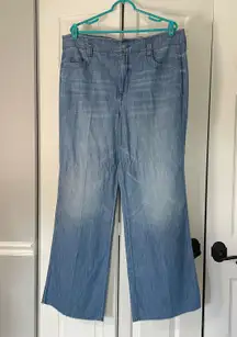 Jeans Not Your Daughter Wide Leg size 12 L