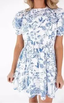Toile Dress