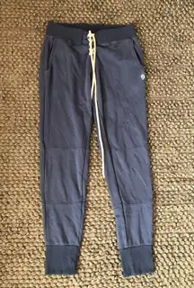 Revolve  Blue Sweatpants Joggers