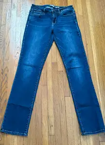 Straight Dark Wash Mid Rise Jeans, size 6