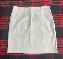 Mini Pencil Skirt