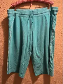 Nike Bermuda Shoes Blue Woman’s Size XL