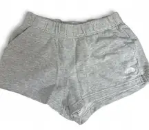 Grey The North Face shorts. Women’s size medium.