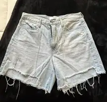 High Rise Shorts