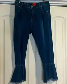 V Cristina crop jeans, size 16