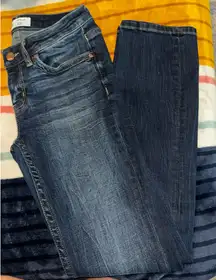 BKE Stella slim fit straight 