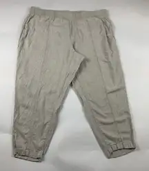 Old Navy Flax Linen Blend High Rise Slim Leg Ankle Pant 2X