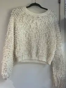 Shaggy Crewneck Sweater