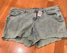 NWT torrid women’s acid jade jean shorts size 22.